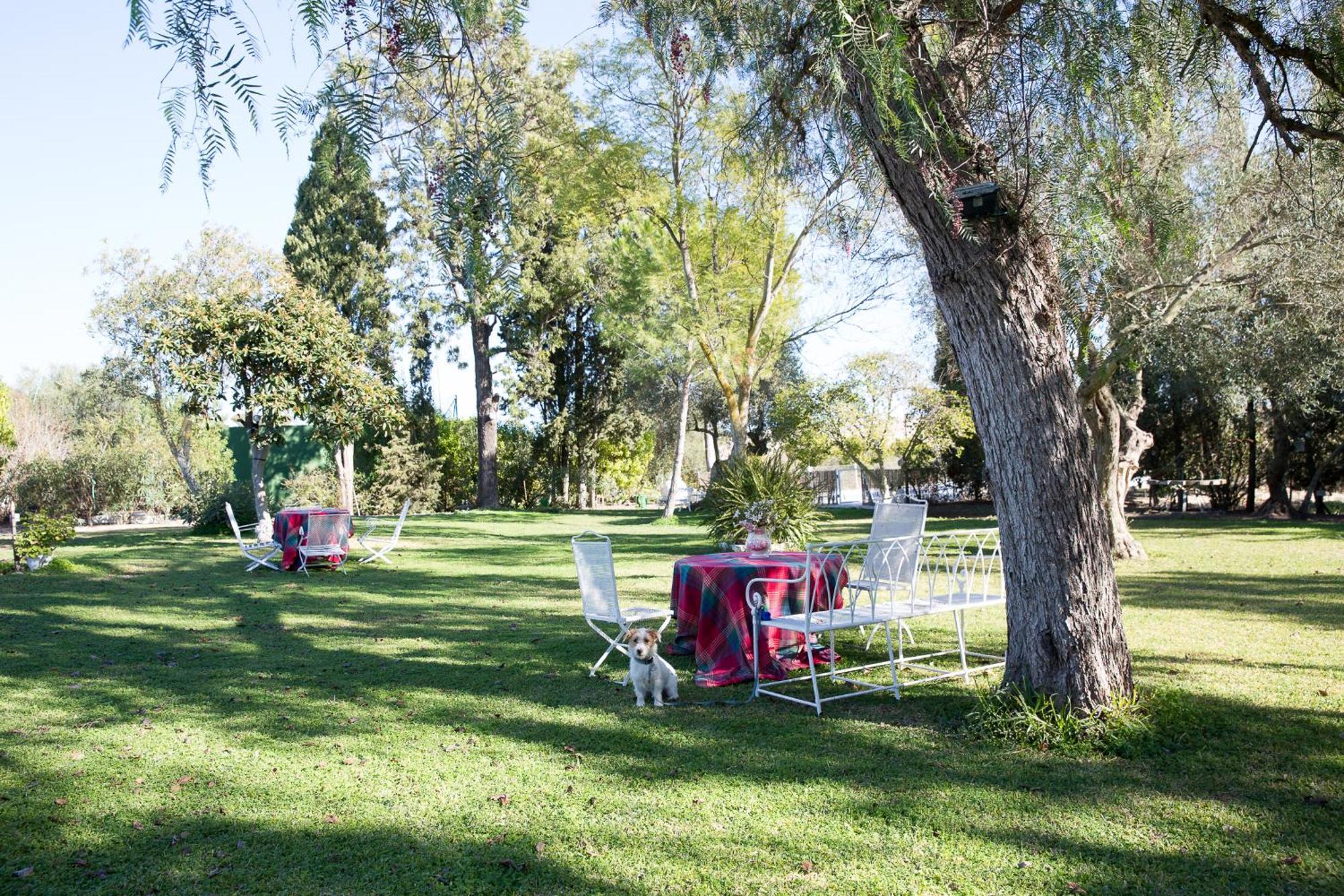 Cortijo Rural La Mariscala Villa Jerez de la Frontera Exteriör bild