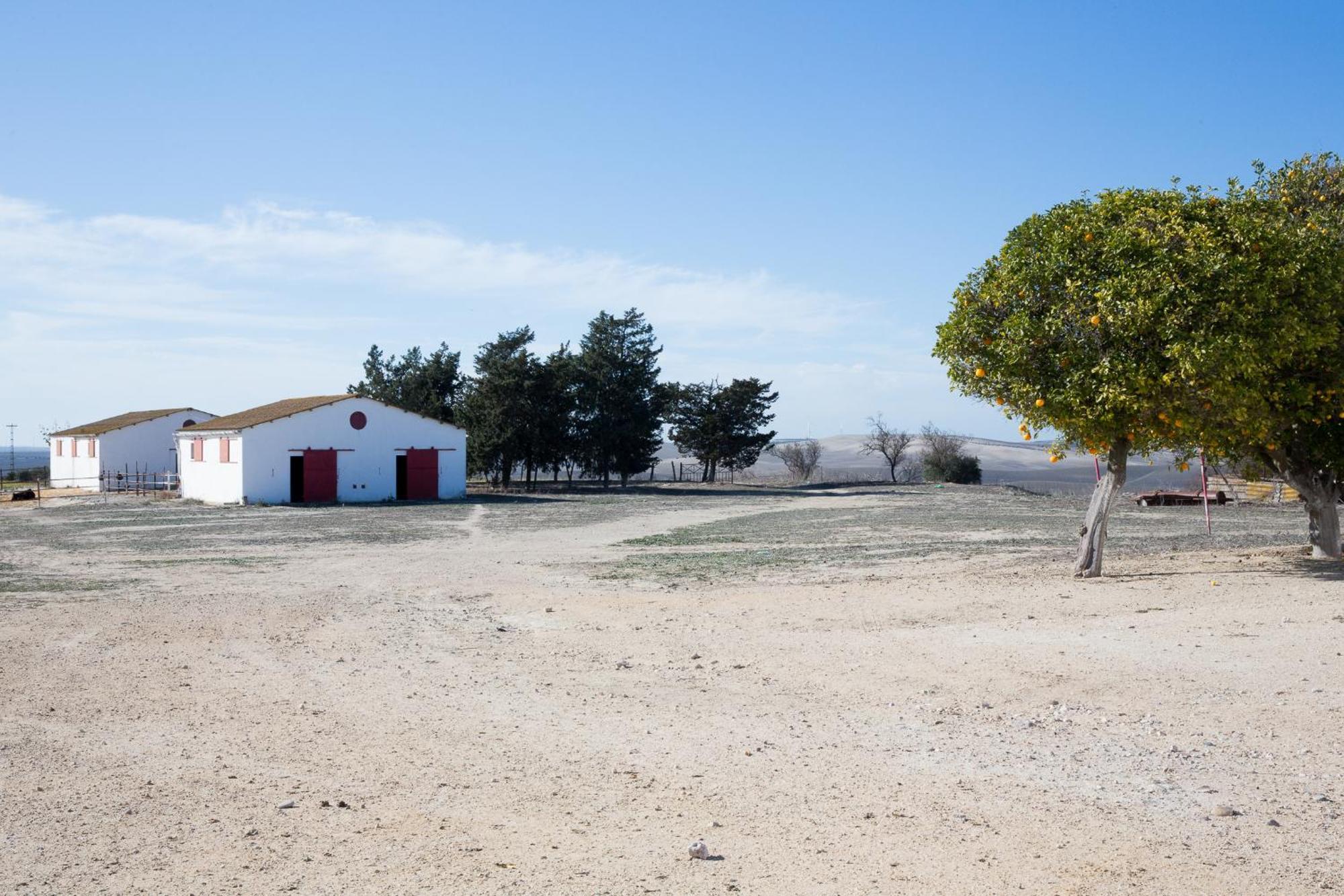 Cortijo Rural La Mariscala Villa Jerez de la Frontera Exteriör bild
