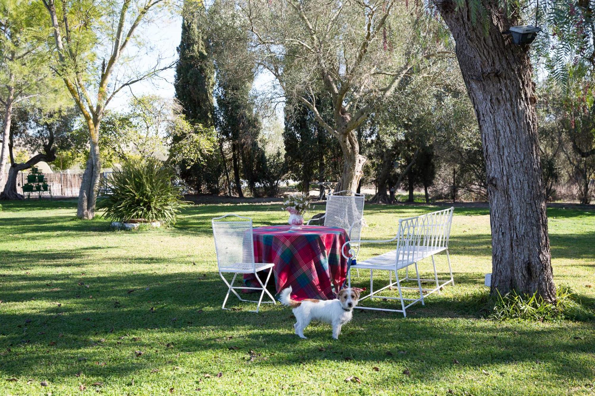 Cortijo Rural La Mariscala Villa Jerez de la Frontera Exteriör bild